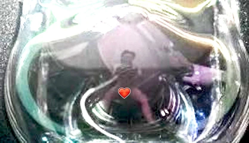 f2389e0af4cdf92c89af4d0067891bae_1744932892_2964.jpg