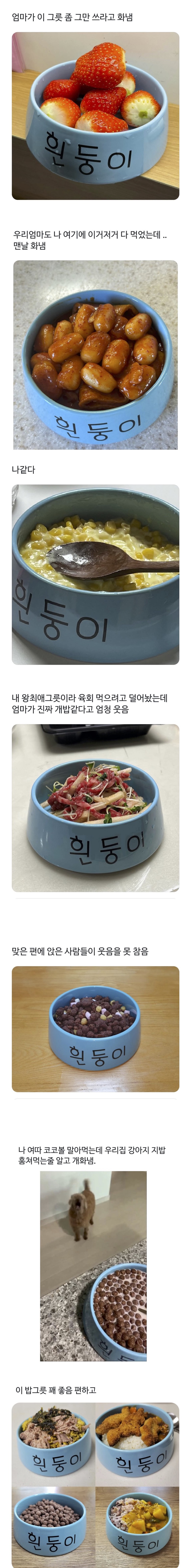 97d0f2e883e93fbce5ba7a30efce5c1e_1751067592_8429.jpeg