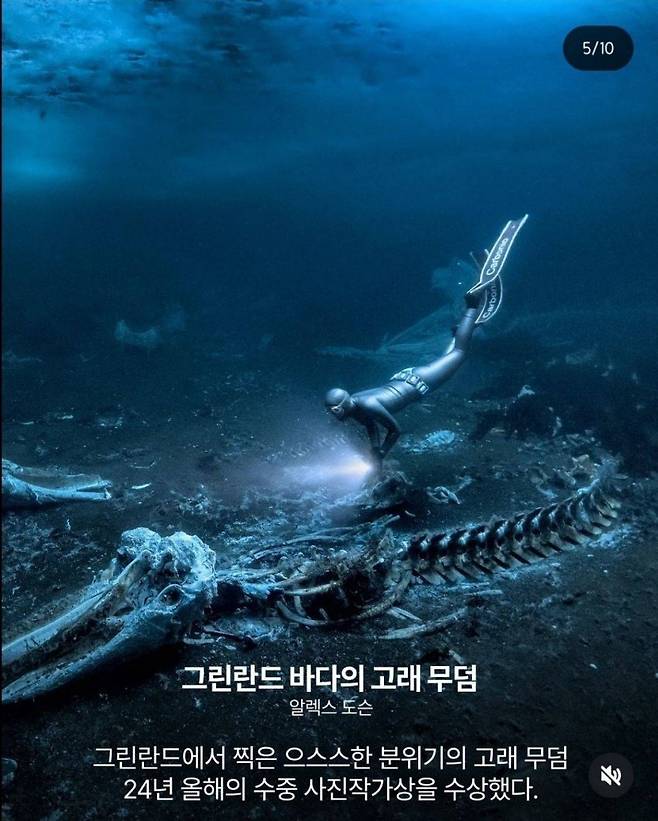 97d0f2e883e93fbce5ba7a30efce5c1e_1751067905_608.jpeg