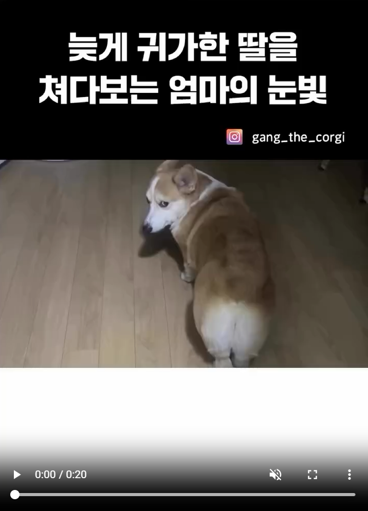 e8dff1313515bdf73ac1a2ad92b0cbbe_1748873810_5445.png