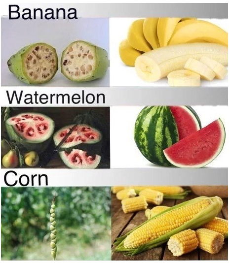 5a92e0e57dac5b6164a1aa453c18c332_1758206822_2249.png