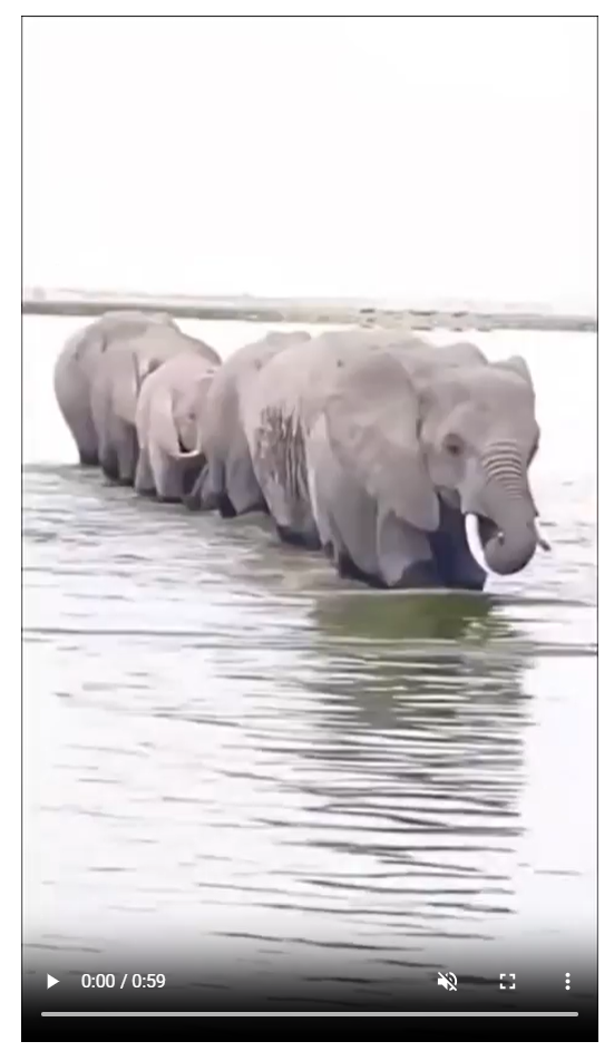 98e14f9f80e4376fe3d79019d5dfb96f_1773851007_4712.png
